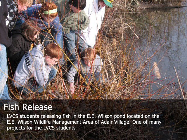 Fish Release